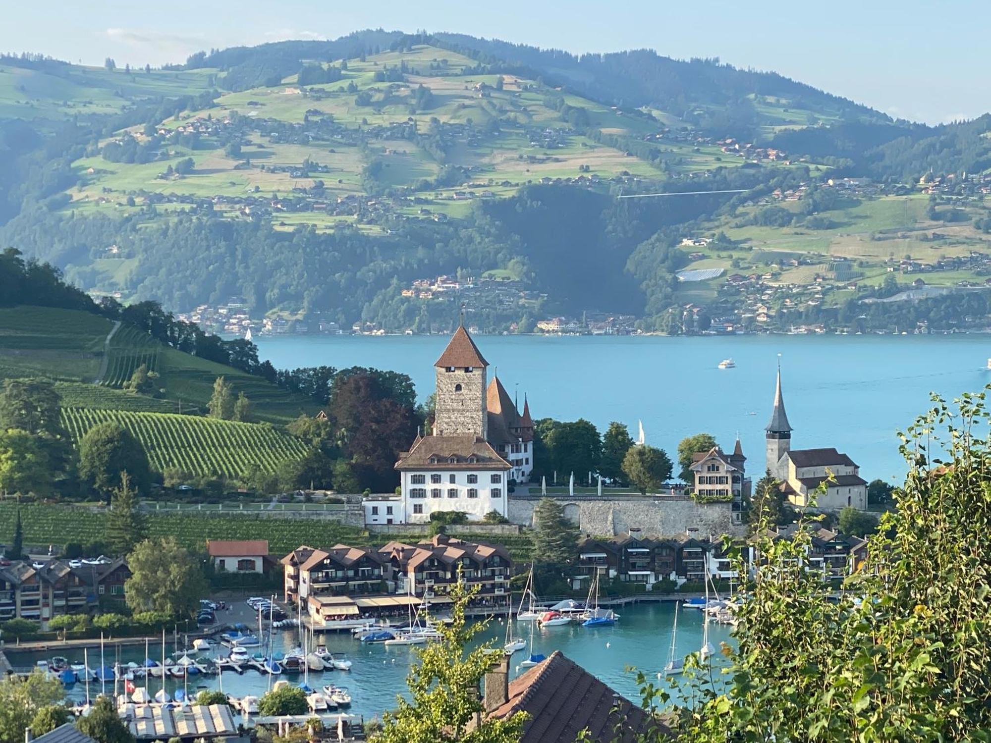 Faulensee Herrlicher Blick Auf Berge Und See מראה חיצוני תמונה